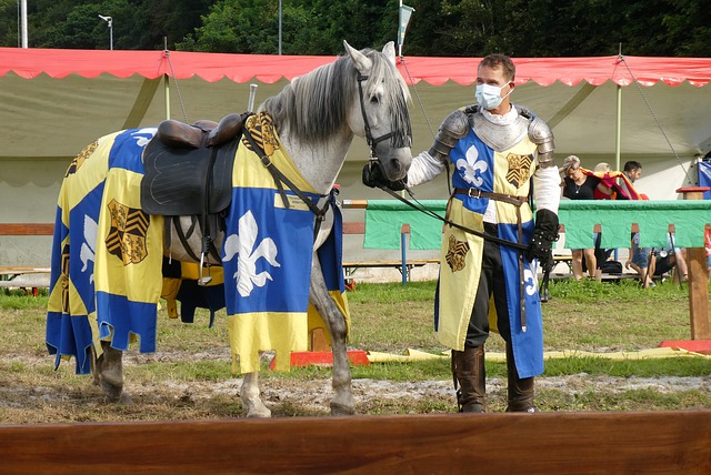 场球场内的 场球场内的