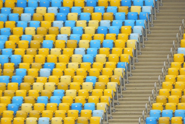 他们很有可 他们很有可